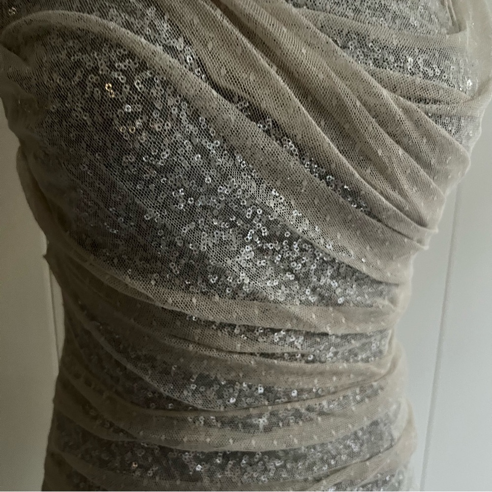 Express Silver Sequin Mesh Mini Dress – Size 6 - Picture 11 of 16